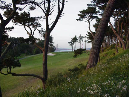 golfcourse