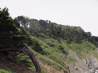 LandsEndCliff