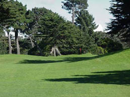 LincolnGreen