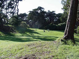 LincolnGreen2