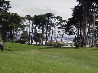 LincolnGreen4