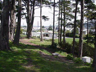 LincolnGreen5