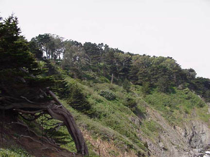 cliff2