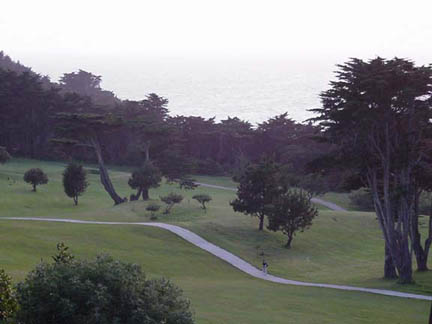 greens3