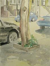 copyrighted John Dowling Watercolor